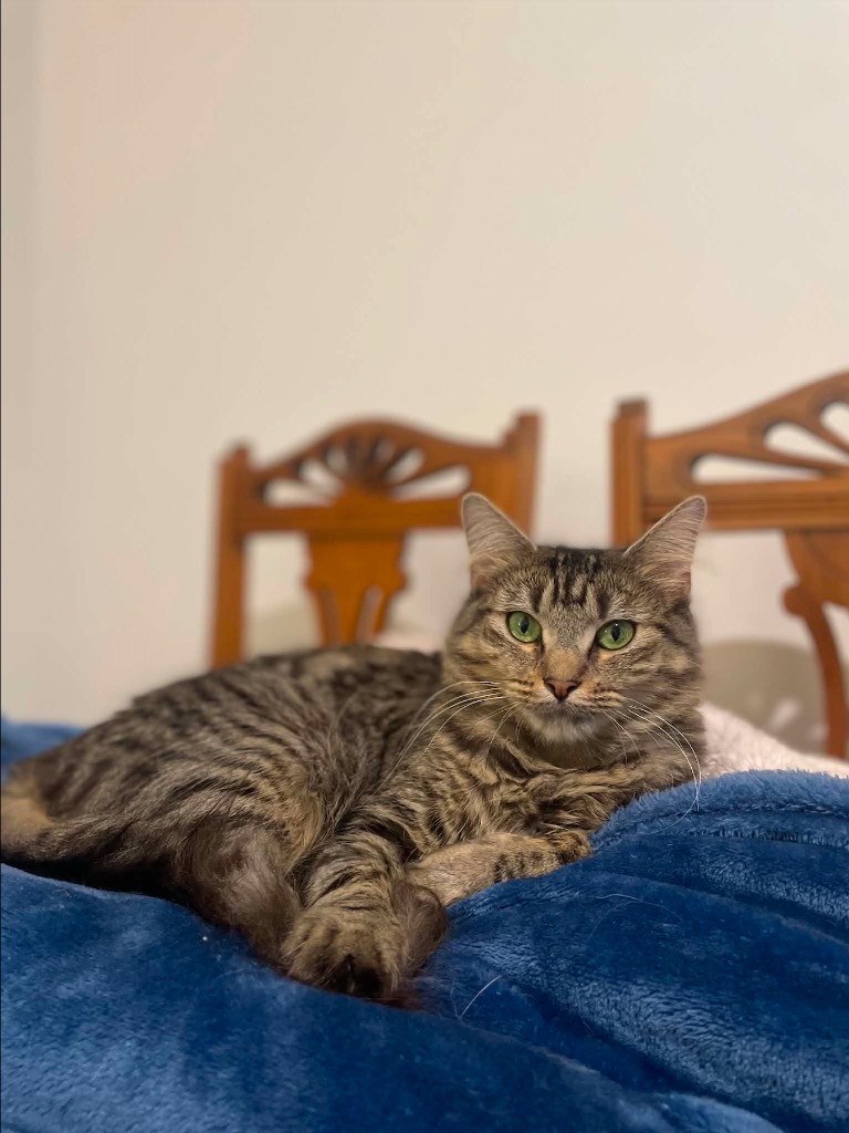Delilah