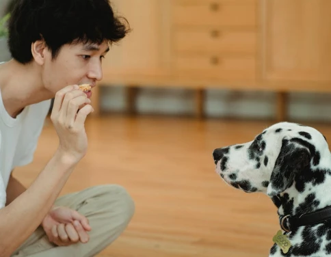 Understanding Dog Behaviour