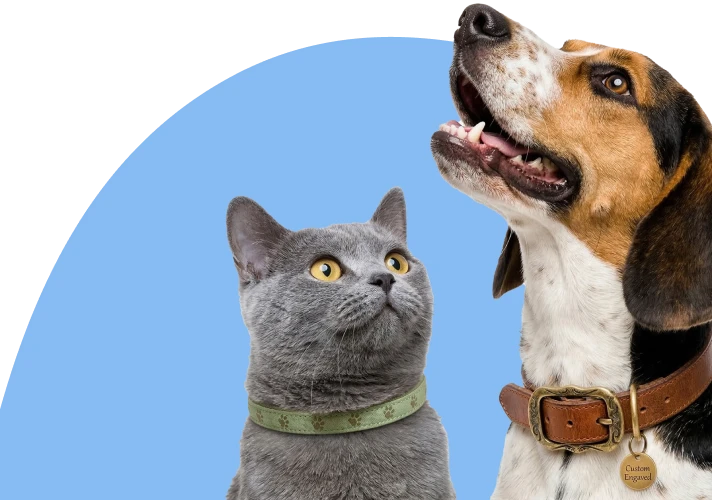 Helpful Resources for Pet Owners