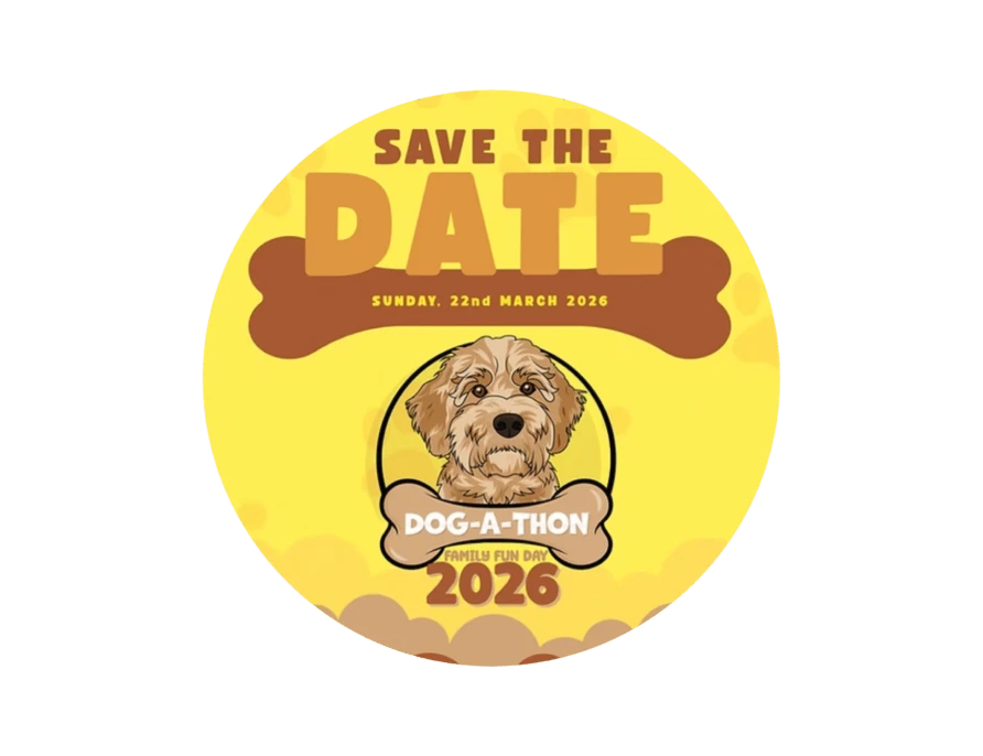 A Day of Fun, Community, and Wagging Tails