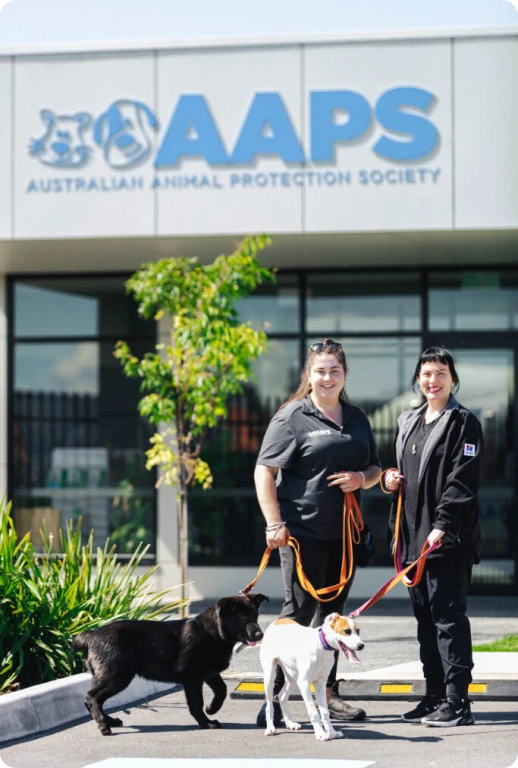 AAPS About us gallery item 0