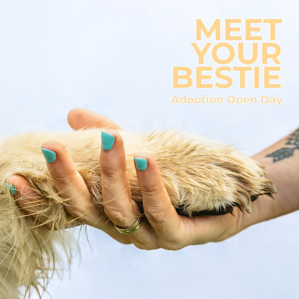 Join us for a day of furry friends and forever homes!
