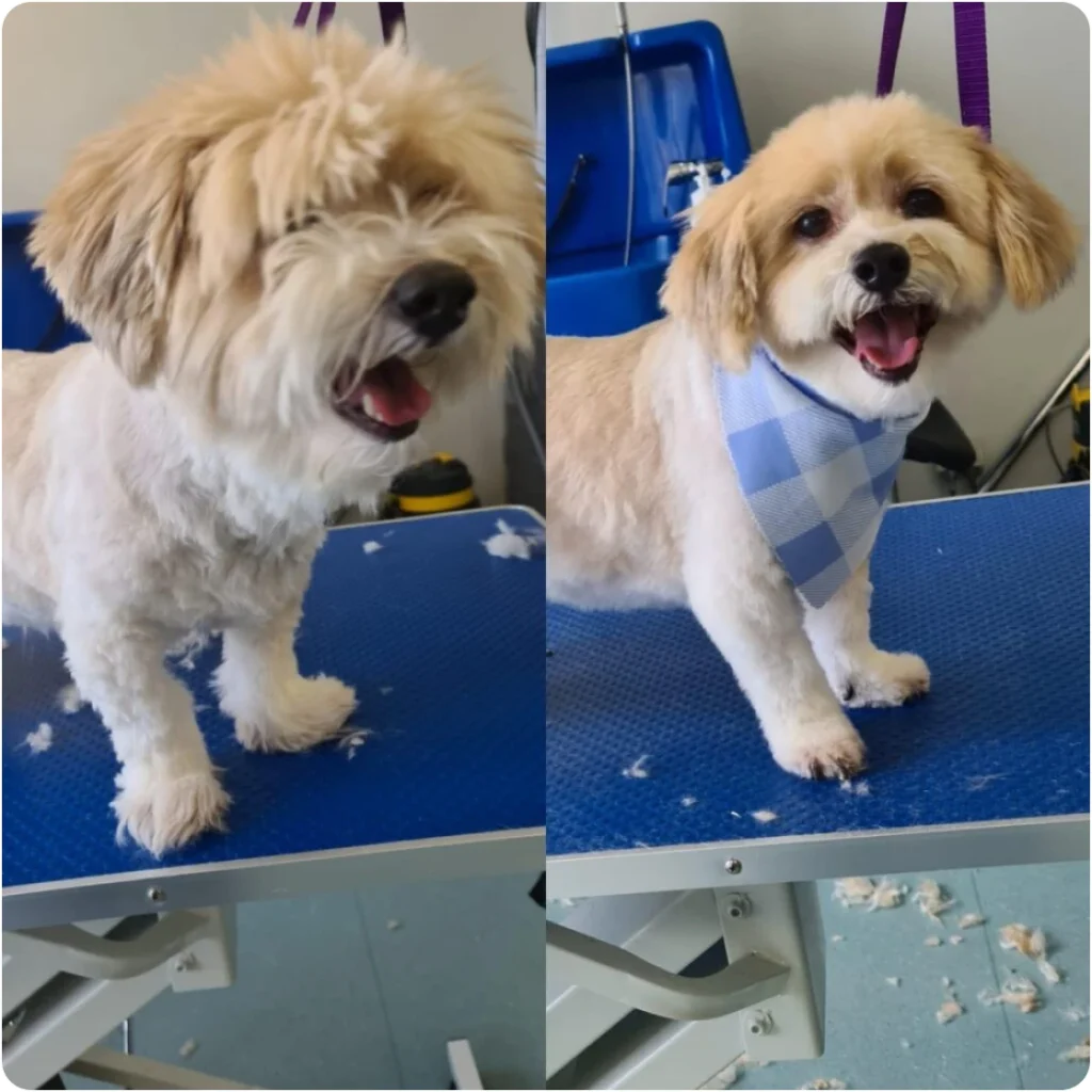 Nail Trim