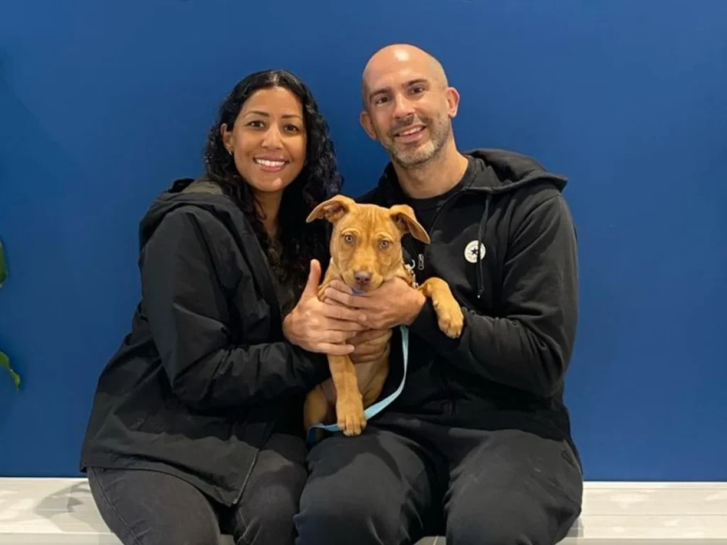 Why Adopt a Dog