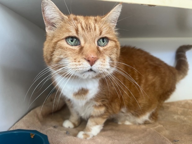 Richard Parker (IN FOSTER CARE)