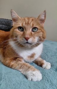 Richard Parker (IN FOSTER CARE) photo 2