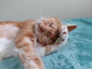 Richard Parker (IN FOSTER CARE) photo 4