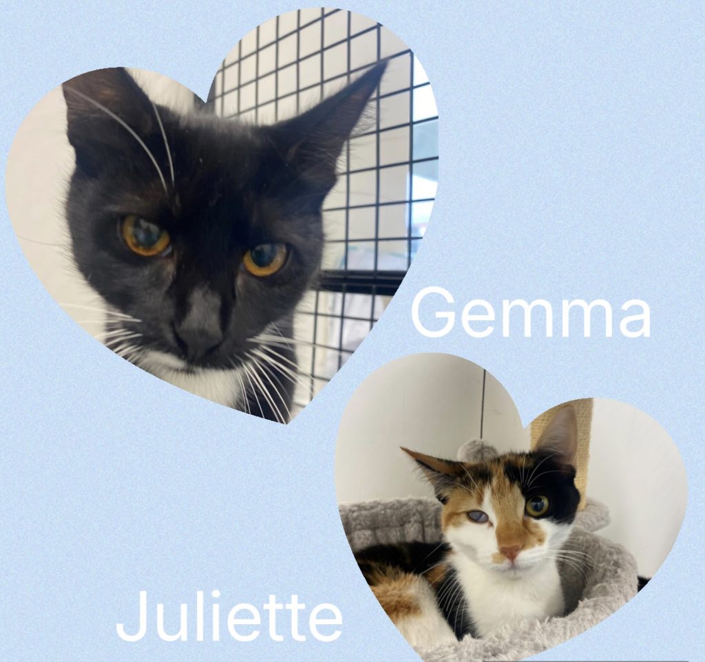 Gemma and Juliette