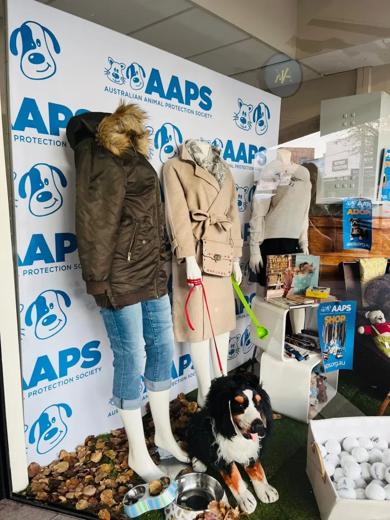 OP Shop 2