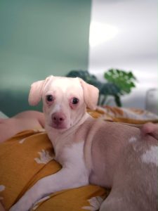 Doug photo 3