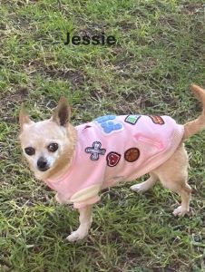 Bella and Jessie photo 4