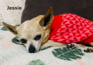 Bella and Jessie photo 5