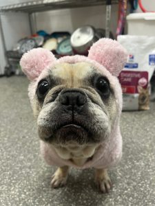 Cookie